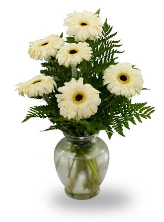 Gerbera vase