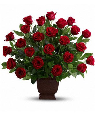 Rose Tribute