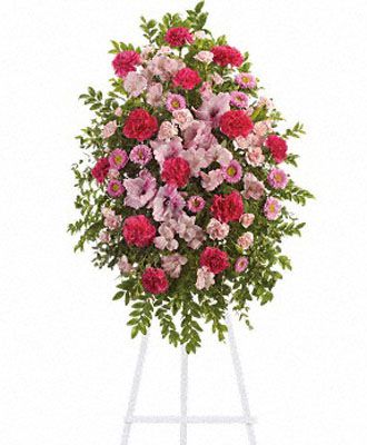 Pink Tribute Spray
