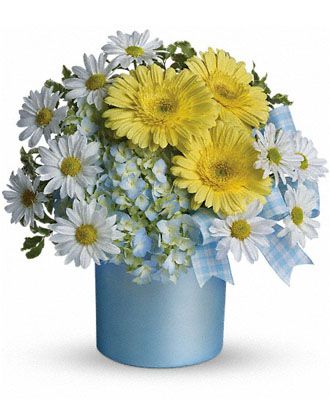 Once Upon a Daisy