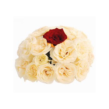 Doha online Florist - My One and Only Bouquet